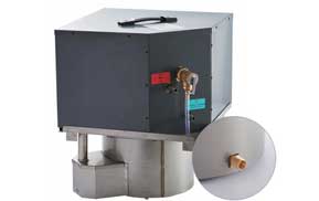 Fuel Water Heater LPG Water Heater - Energy-Efficient Hot Water System
